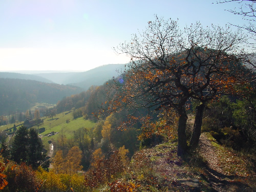 Parc naturel régional des Vosges du nord | Fédération des ...