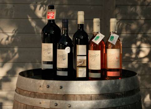 Les vins marqués Parc du Domaine de Beaujeu