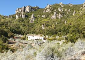 Olives en Provence - PNR Sainte-Baume