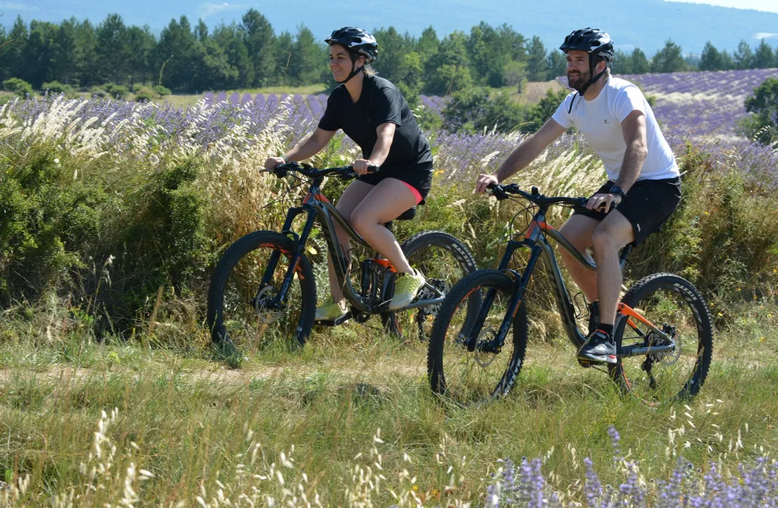 VTT pays de Sault - lavandes