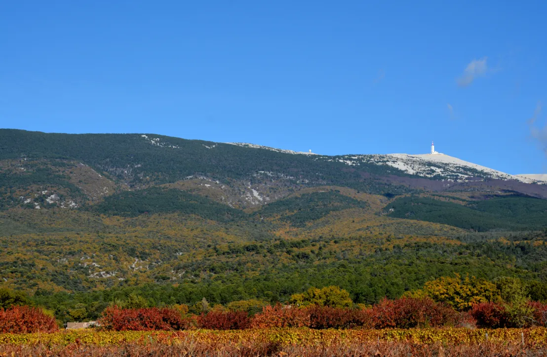 Ventoux automne - Flassan(84)