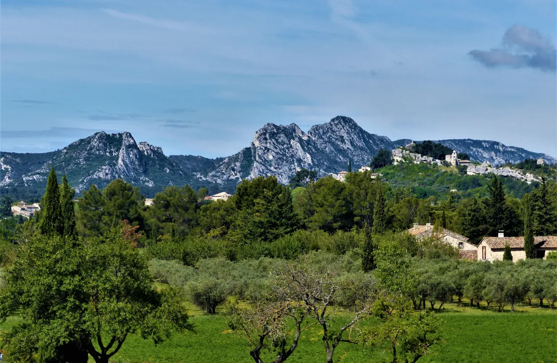 Vue emblématique du PNR des Alpilles