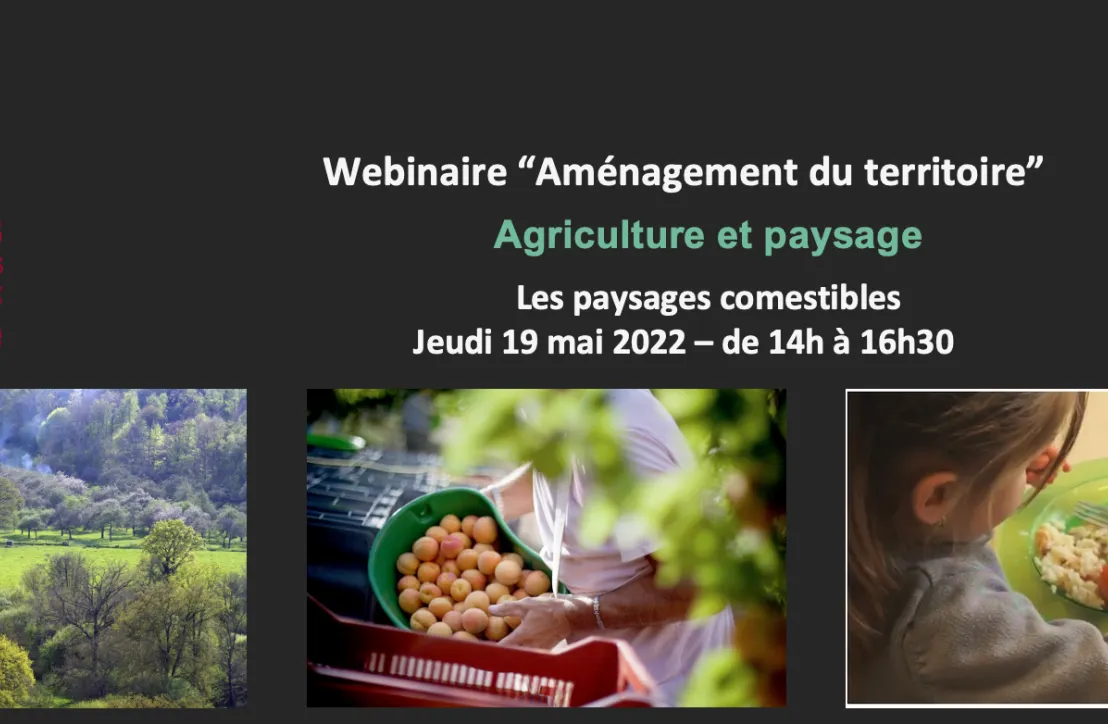 Image paysages comestibles