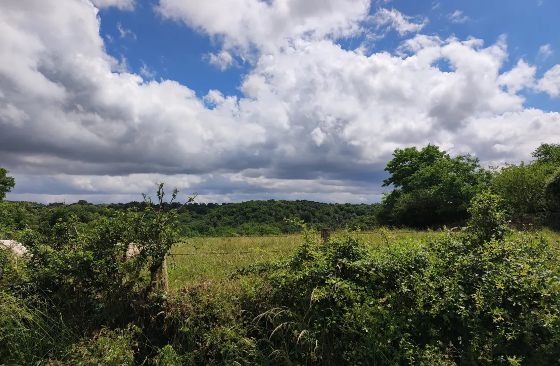 Paysage dans le PNR de la Brenne