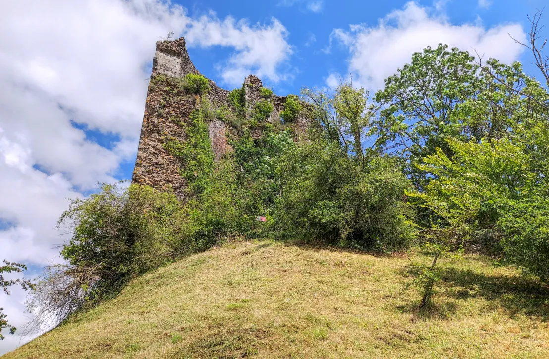 Paysage dans le PNR de la Brenne Juin 2022