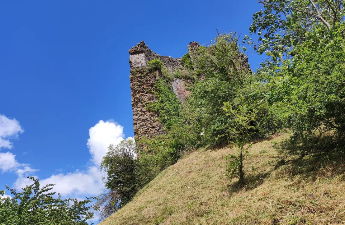 Paysage dans le PNR de la Brenne Juin 2022