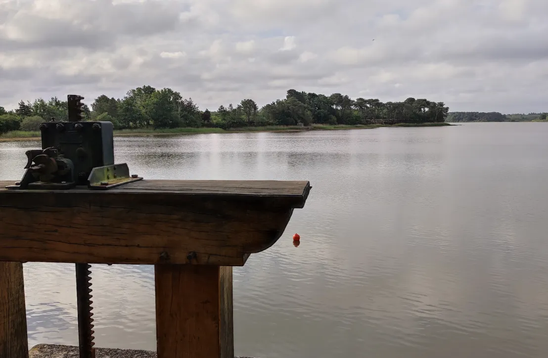 Paysage dans le PNR de la Brenne Juin 2022