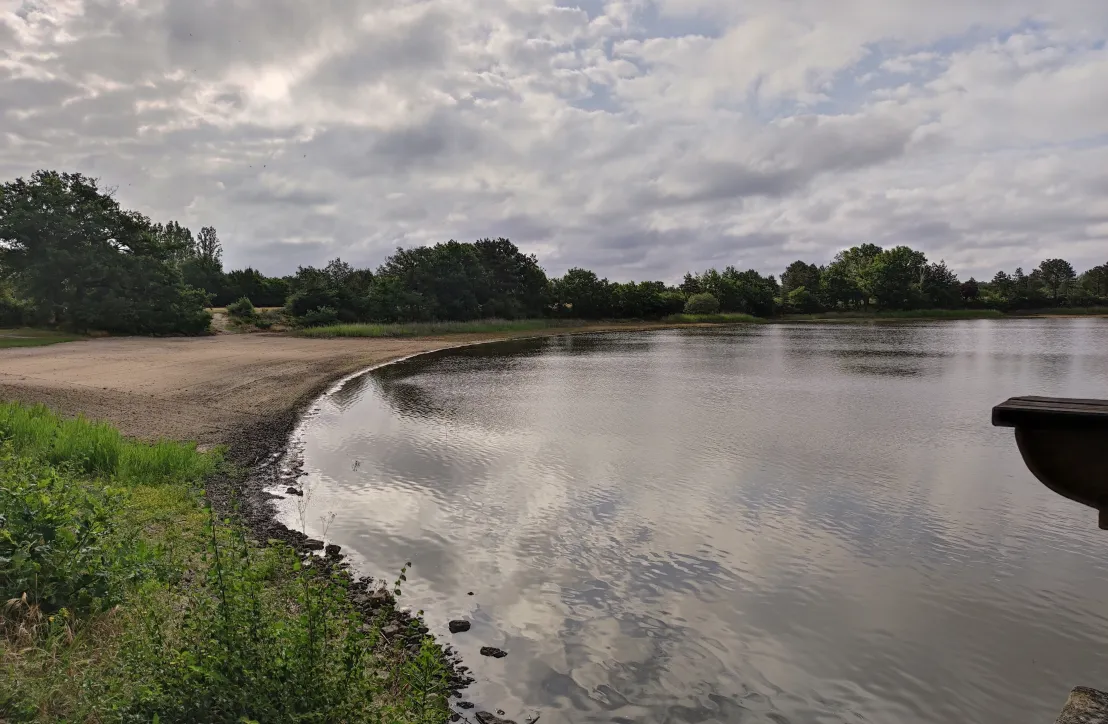 Paysage dans le PNR de la Brenne Juin 2022