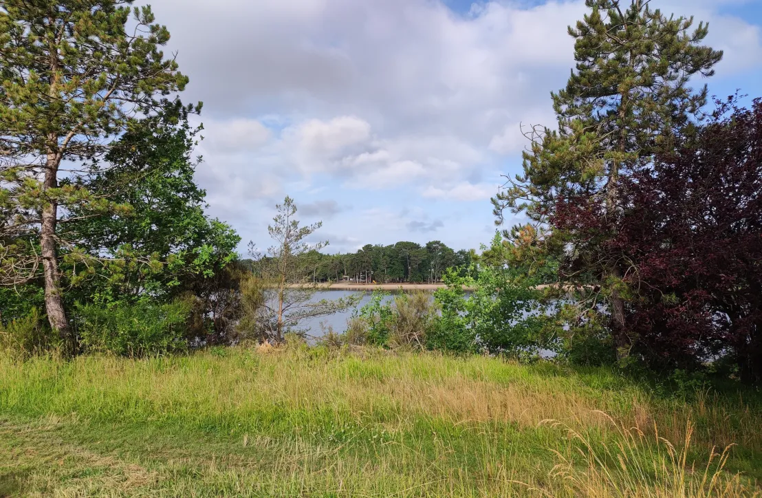 Paysage dans le PNR de la Brenne Juin 2022