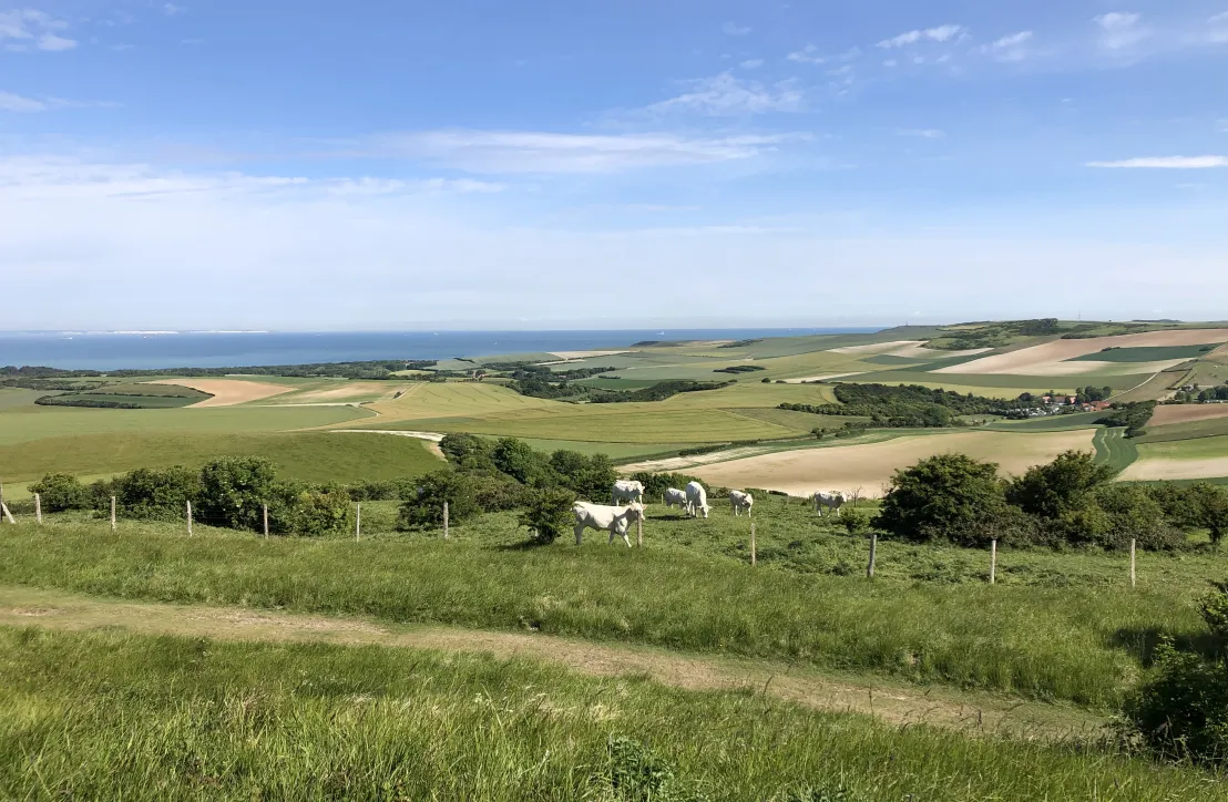 Paysage du PNR Caps et Marais d'Opale
