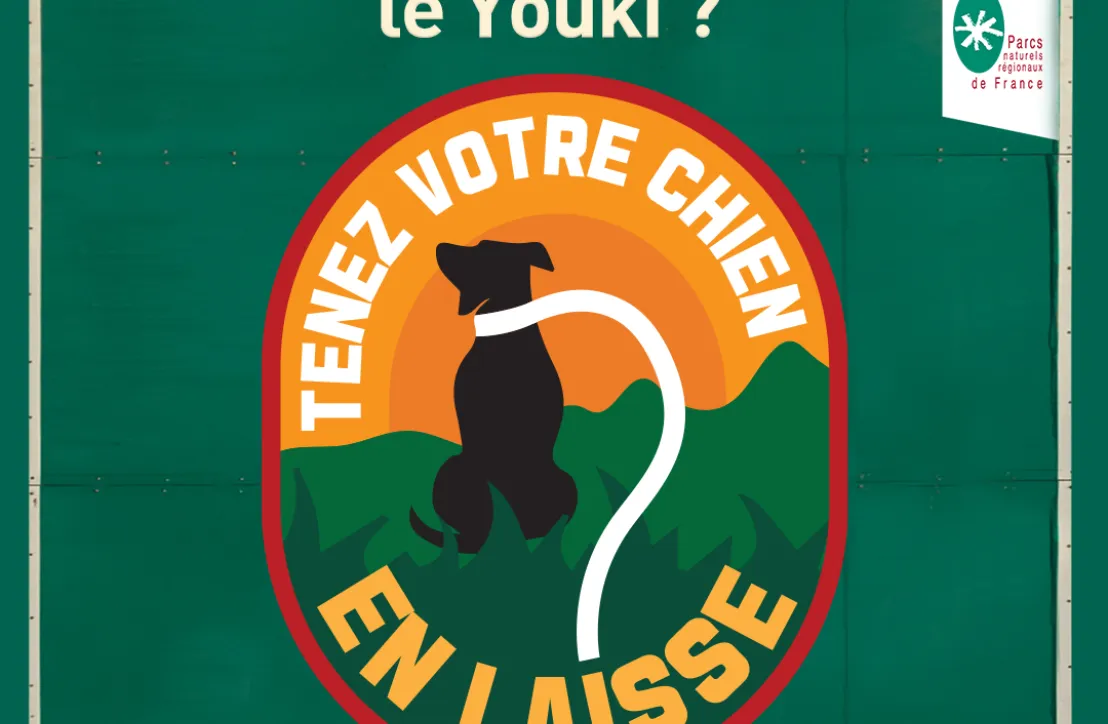 Tenez votre chien en laisse