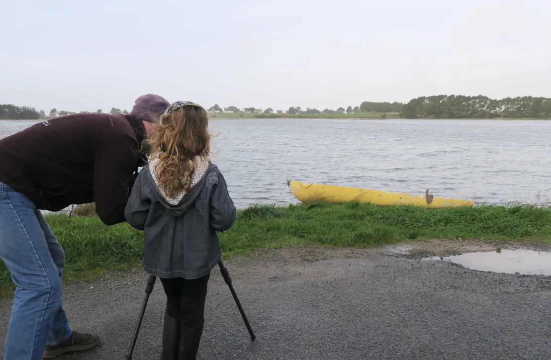 Ornithologie - PNR Golfe du Morbihan