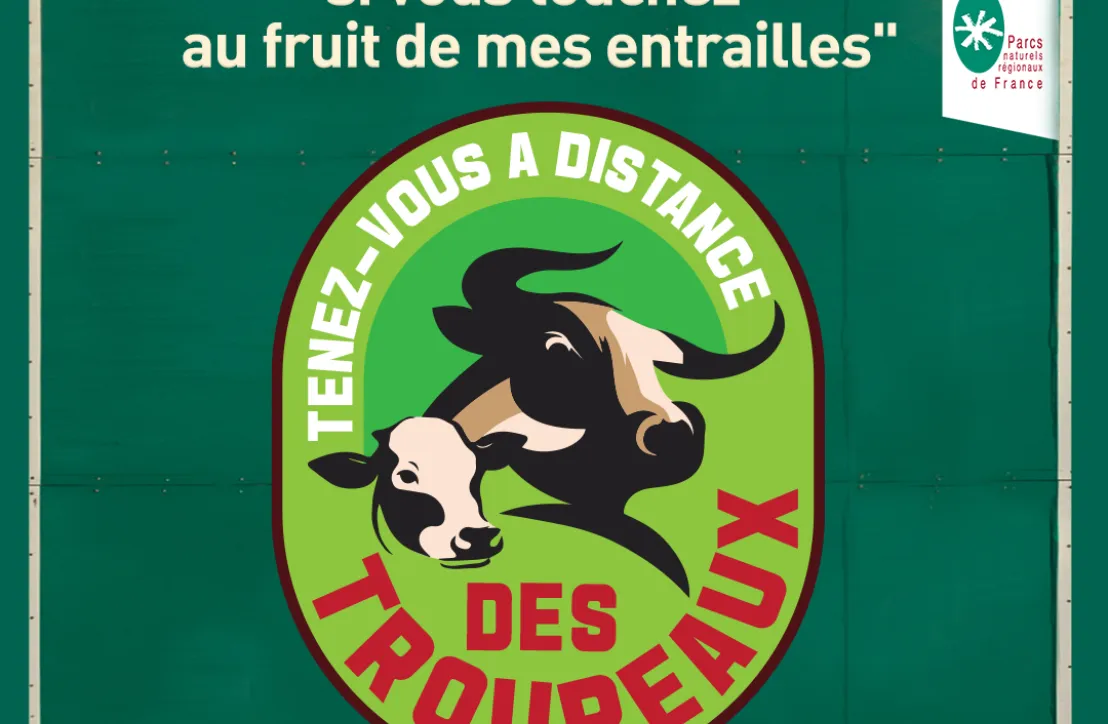 Tenez-vous à distance des troupeaux