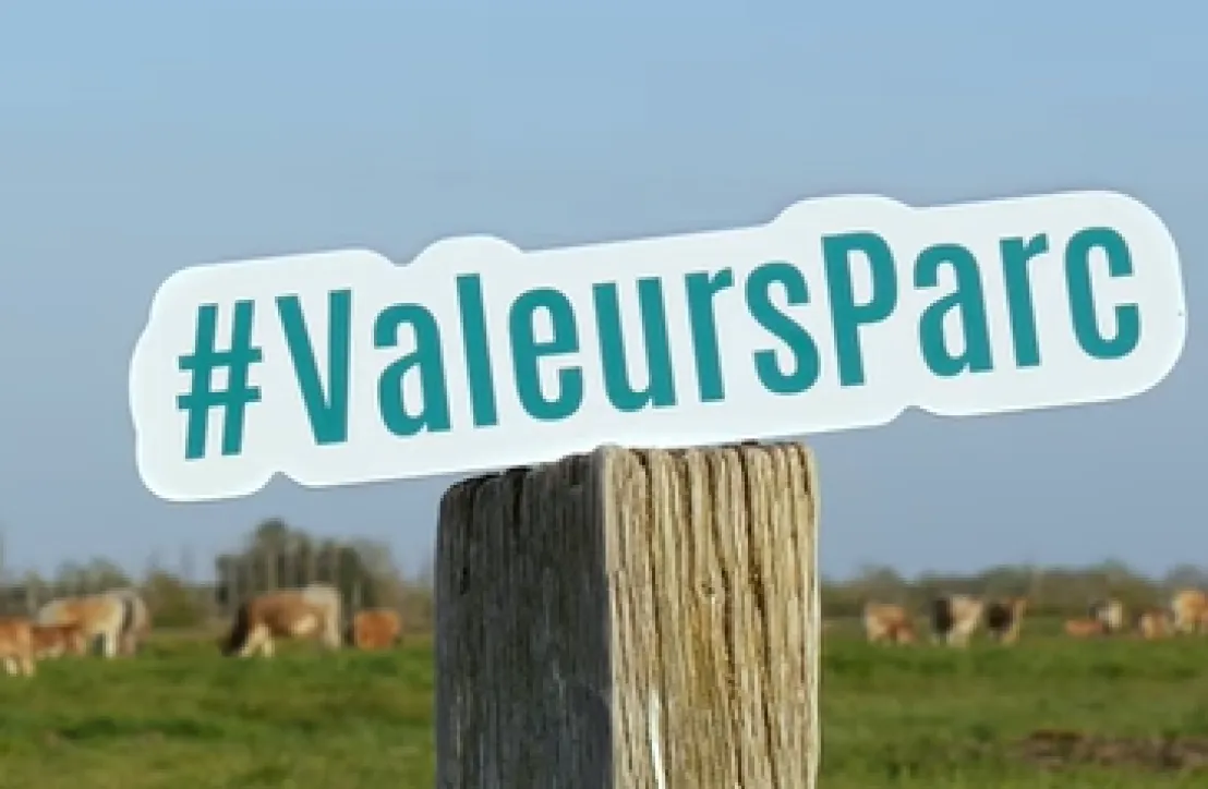 Vidéo la marque Valeurs Parc naturel régional dans le Marais poitevin
