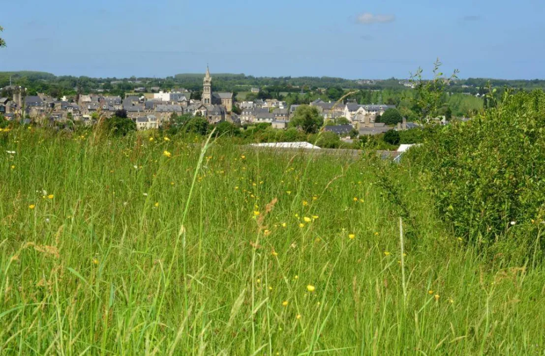 Tertre de Brandefer-Plancoet