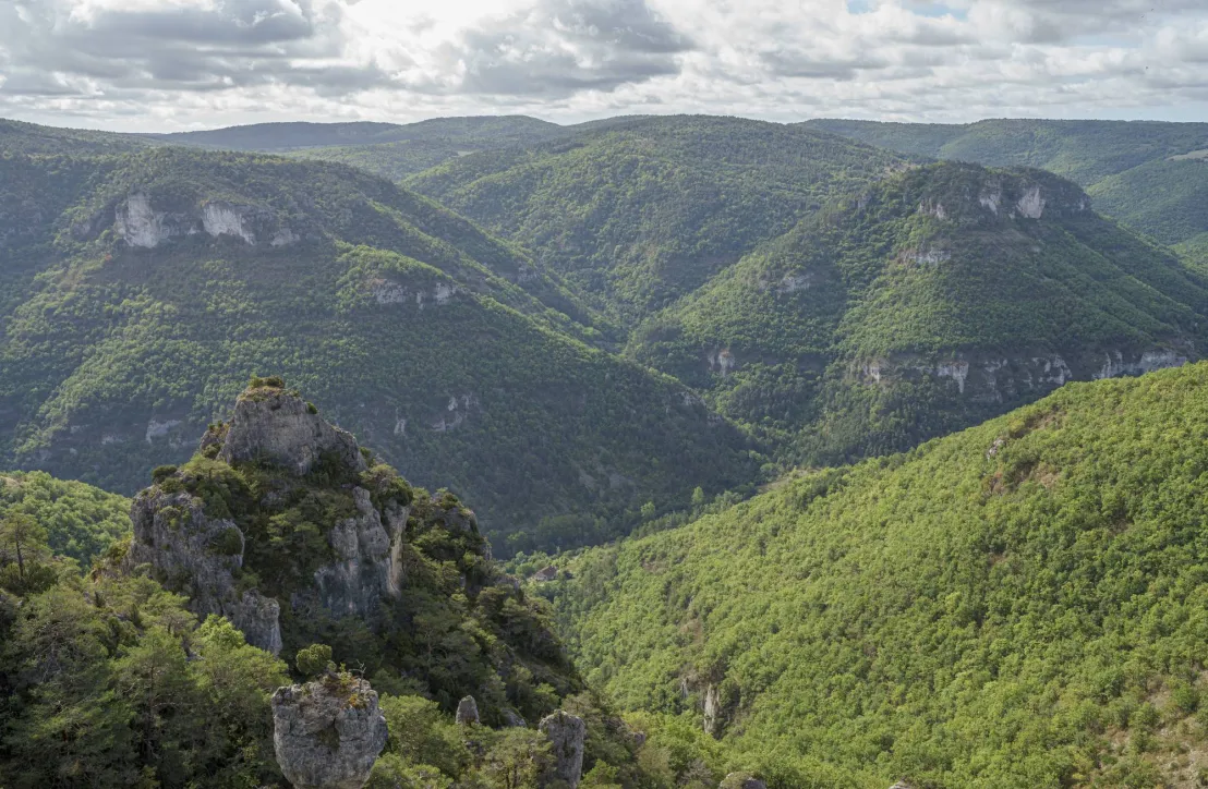 PNR Grands Causses Gorges de la Dourbie