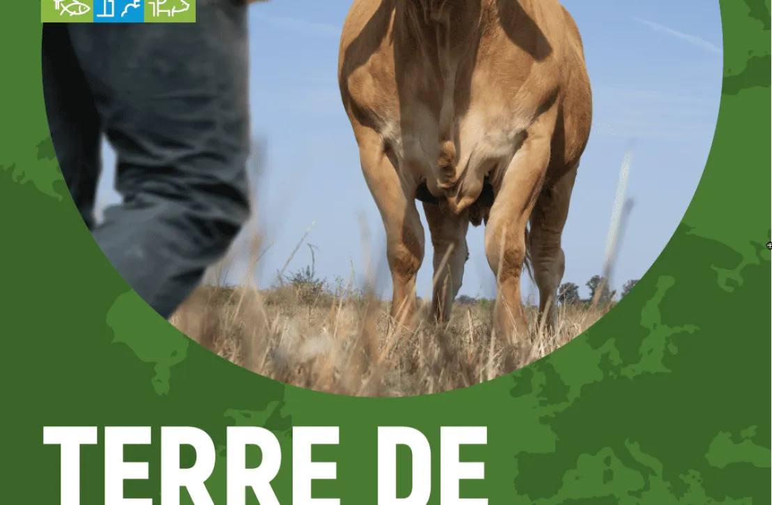 Affiche offcicielle SIA 2025