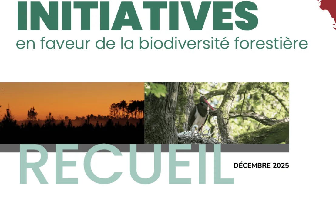 Recueil d'initiatives en faveur de la biodiversité forestière
