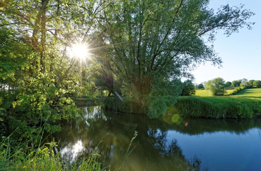 Bocage - Avesnois