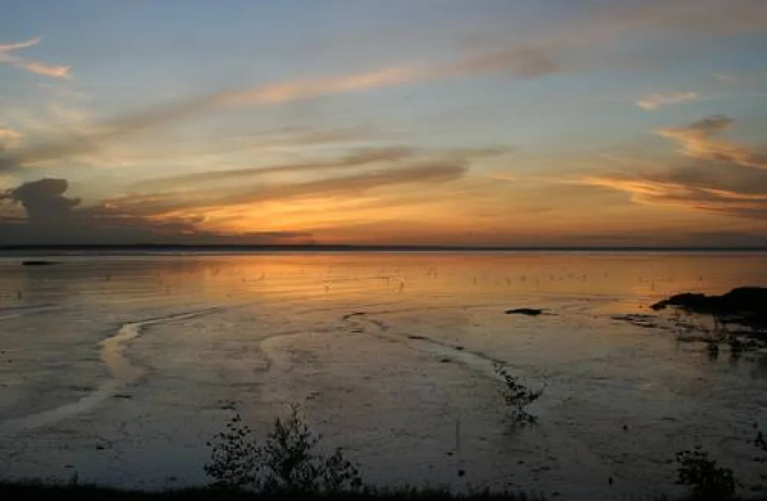 PNR Guyane