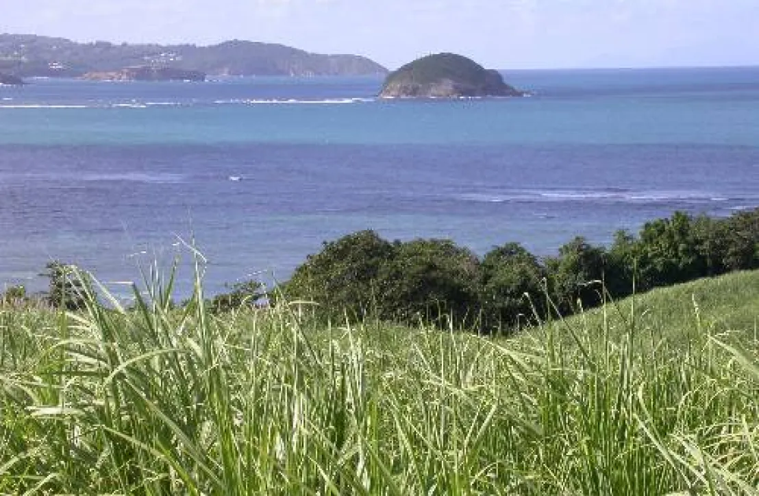Paysage Martinique