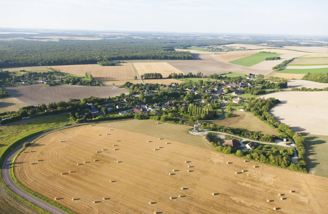 Champagne crayeuse en Forêt d'Orient