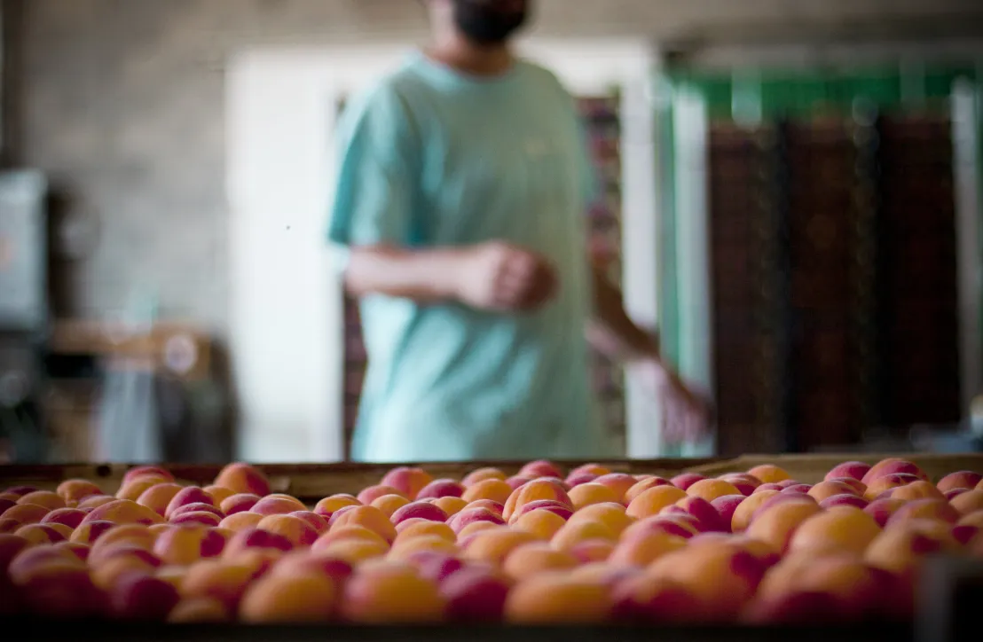 Abricots