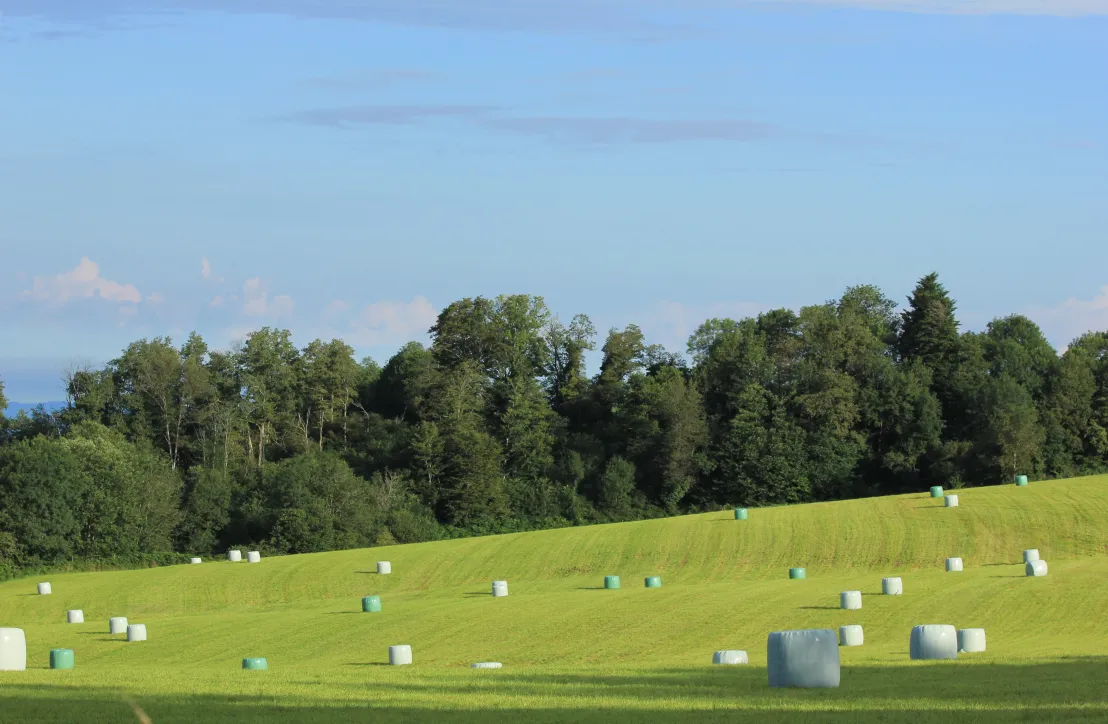 Paysage rural tarnais