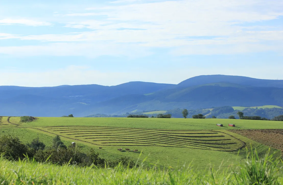 Paysage rural tarnais