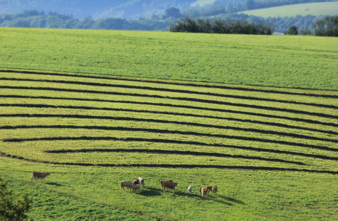 Paysage rural tarnais