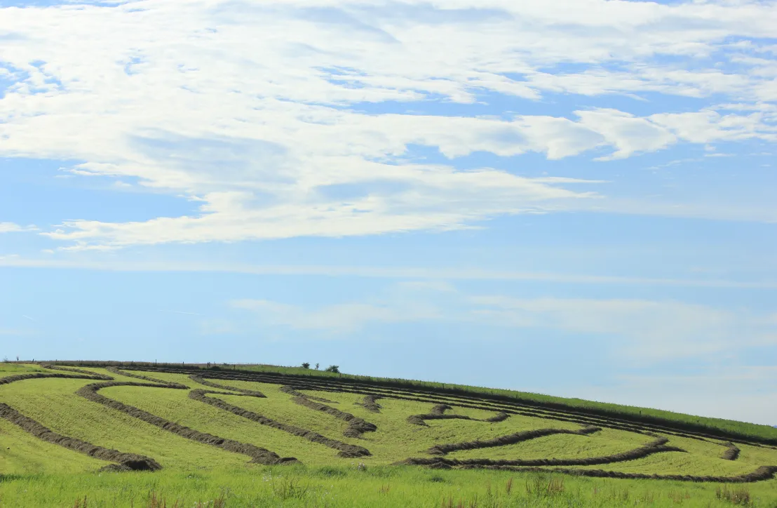 Paysage rural tarnais