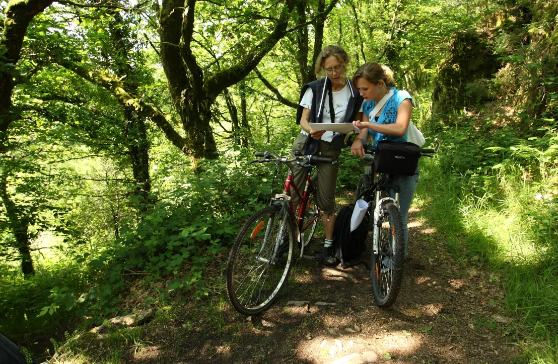 Balade en vélo Golfe du Morbihan