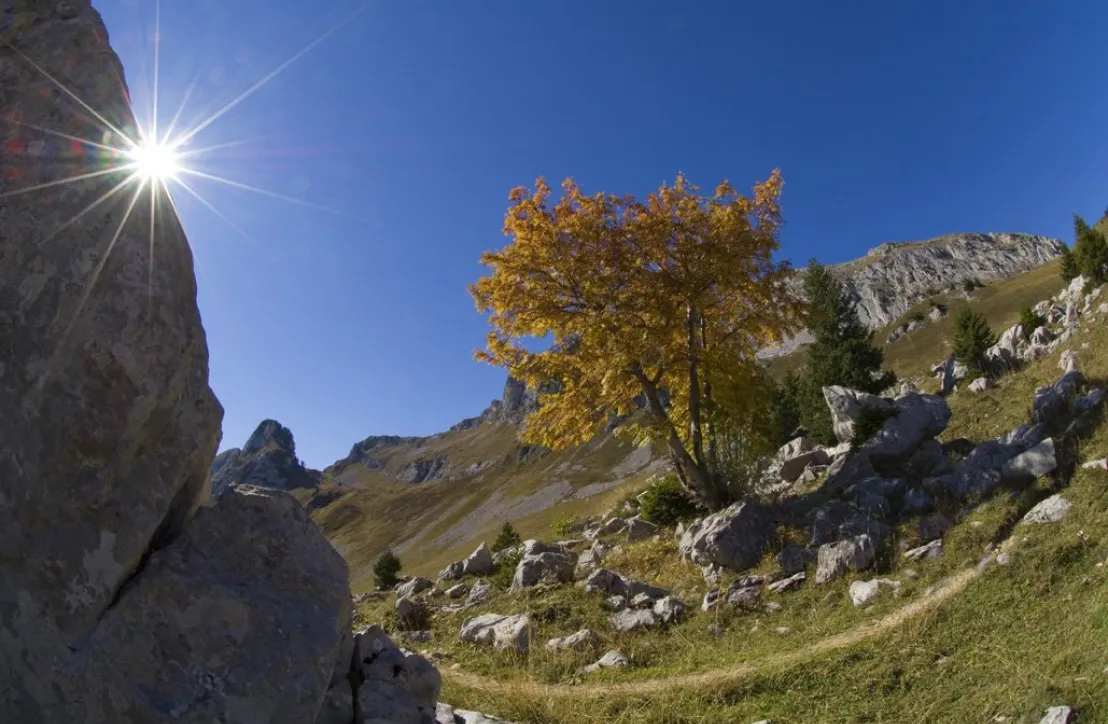 Soleil levant sur le Massif des Bauges