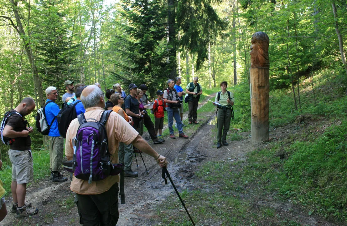 © PNR Massif des Bauges