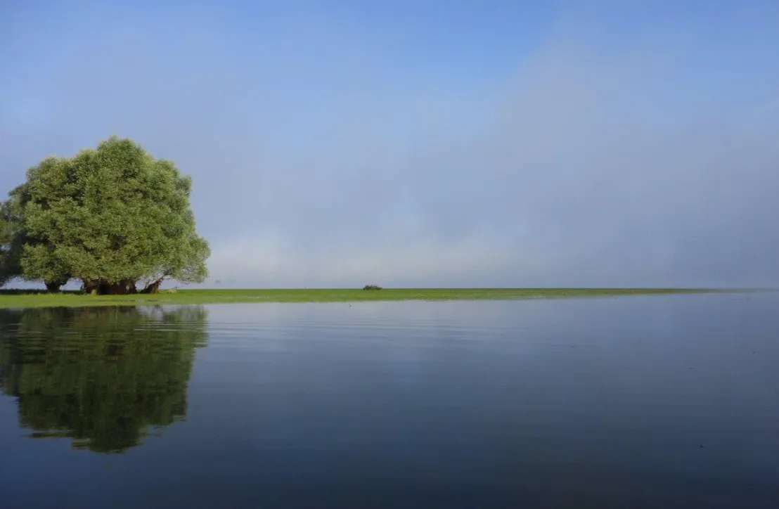 Brume matinale sur le Lac d'Orient