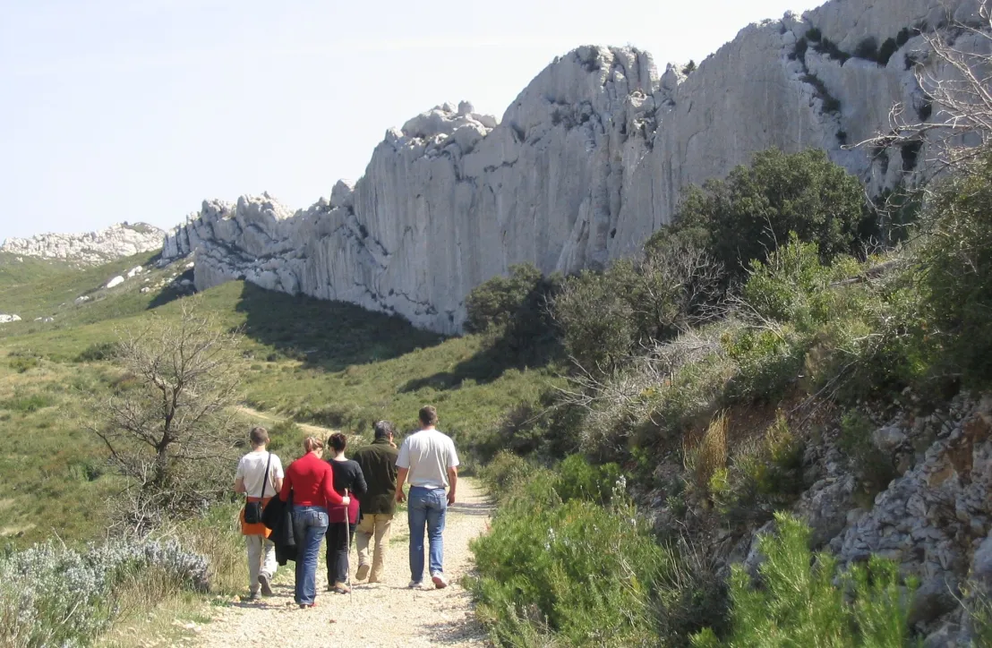 Paysages Alpilles