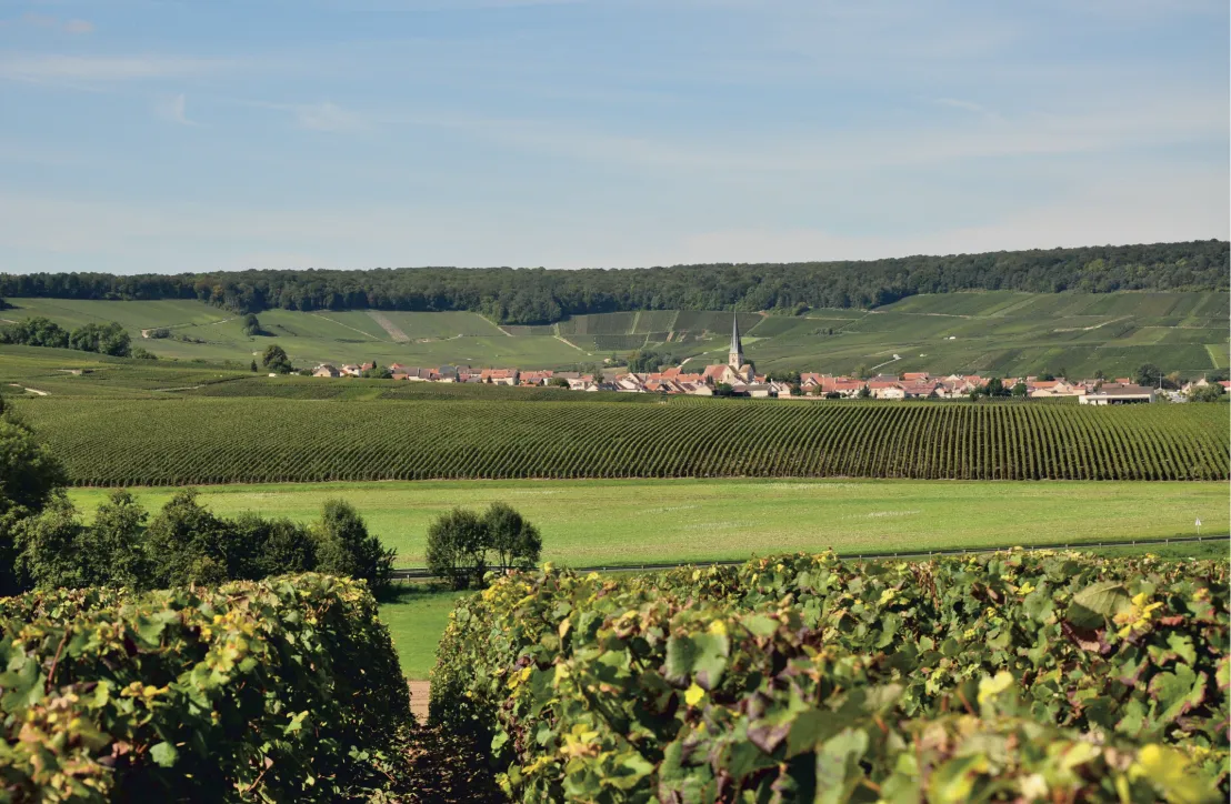 Chamery © PNR Montagne de Reims
