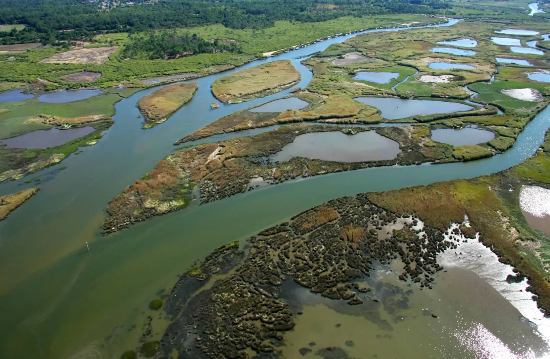 Delta de la Leyre