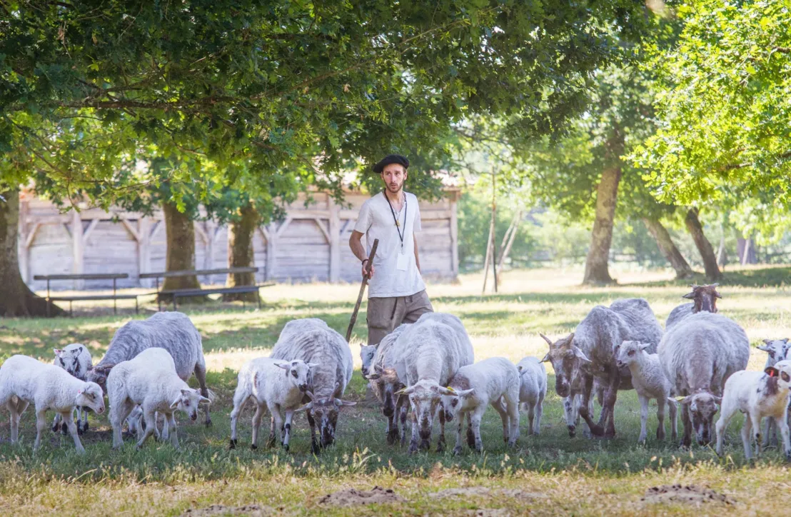 Berger à l'écomusée de Marquèze