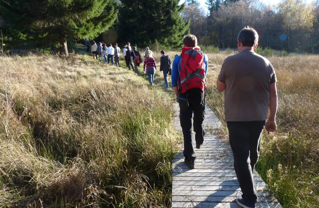 Aménagement d'un sentier de randonnée à Millevaches en Corrèze