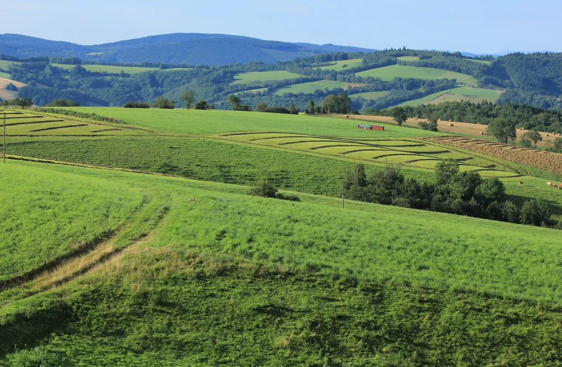 Paysage rural tarnais