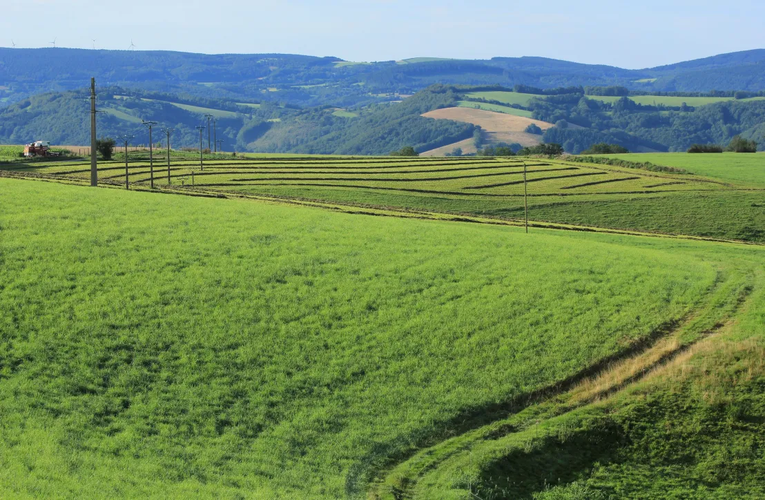 Paysage rural tarnais
