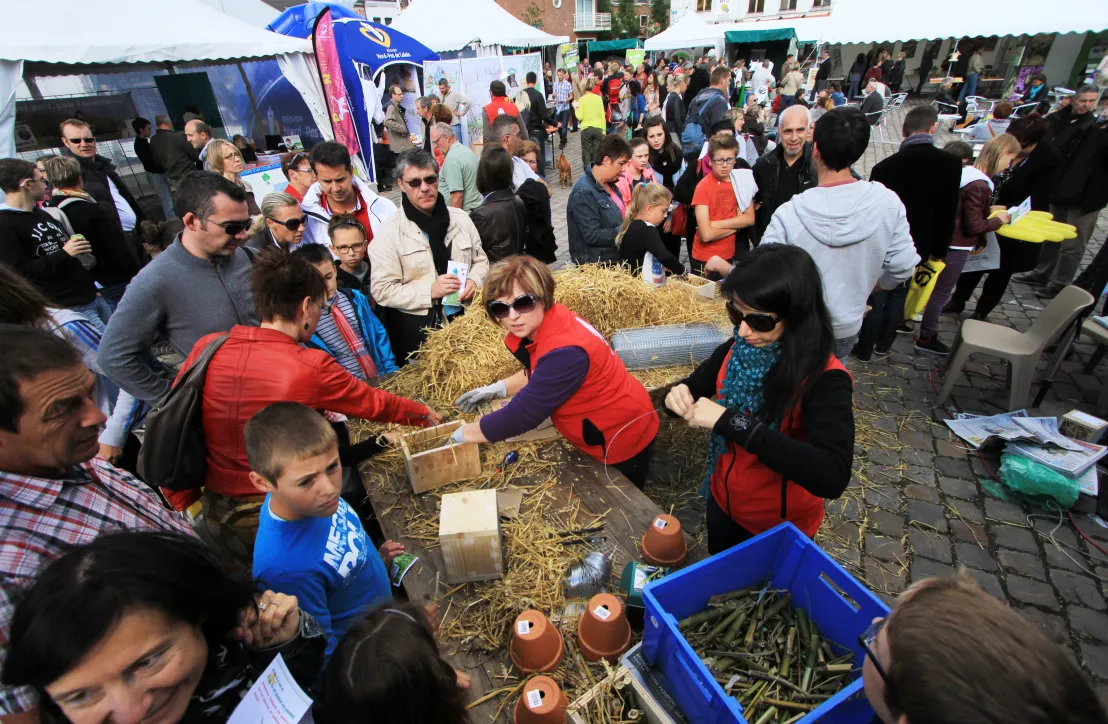 Fête du Parc - création d'un gîte à insectes