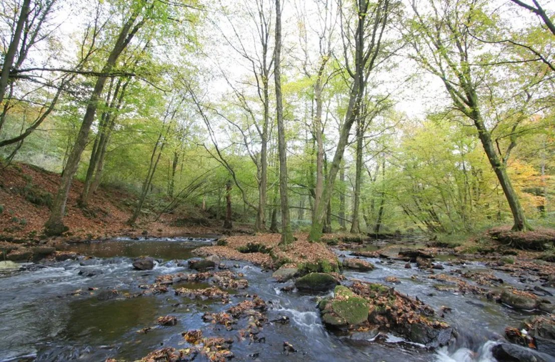 M. Grzemski  ©‎ PNR Avesnois