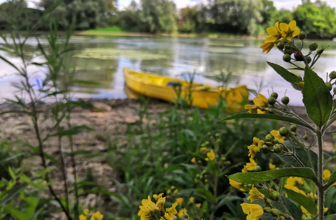 Canoé sur les boucles de la Seine - 2 - Parc du Vexin Français