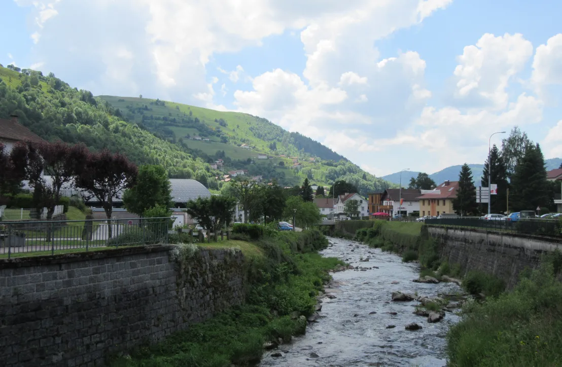 Rivière dans le Parc des Ballons des Vosges