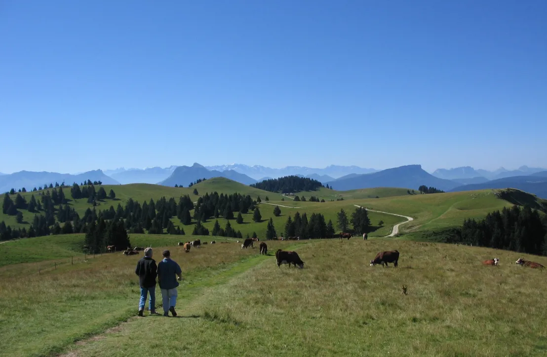 Randonner en alpages au Semnoz