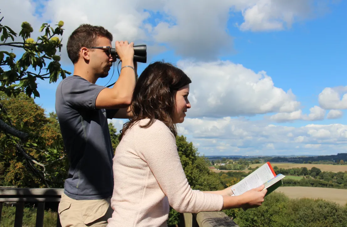 Observation ornithologique