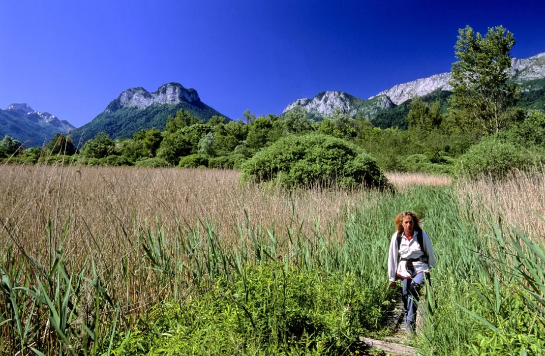 Randonnée à proximité du lac d'Annecy