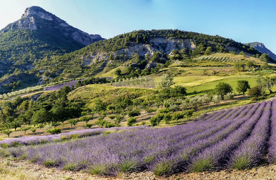 Baronnies provençales - été